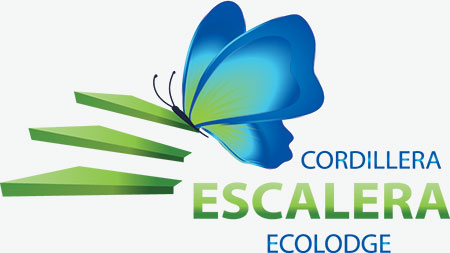 Эколодж «Cordillera Escalera», г. Тарапото, Перу