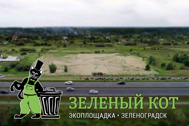 Представление «Зеленого КОТа»