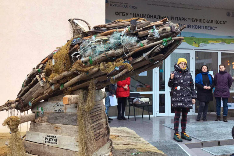 Зеленый Кот съездил в гости к Морсвину!