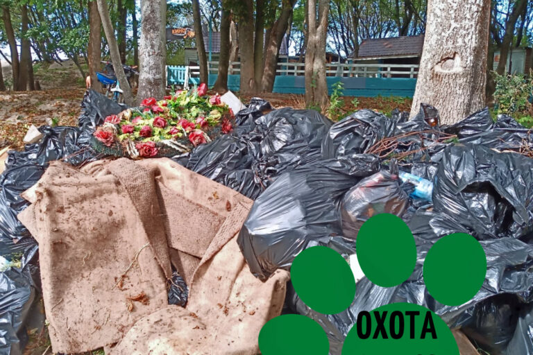 Охота на мусор!