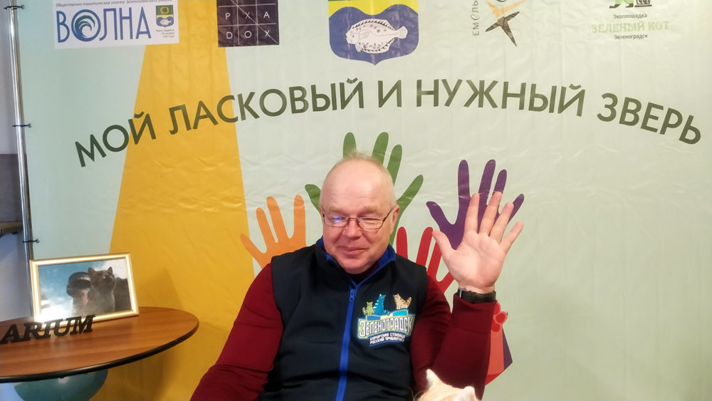 В эфире Зеленоградск – кошачья столица мира!