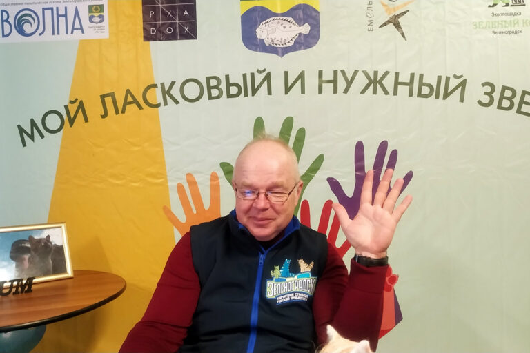 В эфире Зеленоградск – кошачья столица мира!