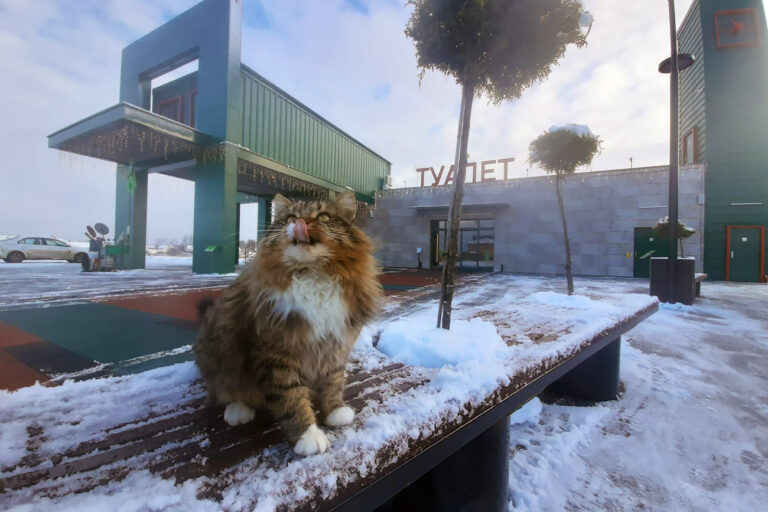 С 23 февраля и 8 марта!