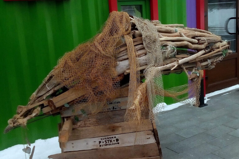 Морские животные под угрозой