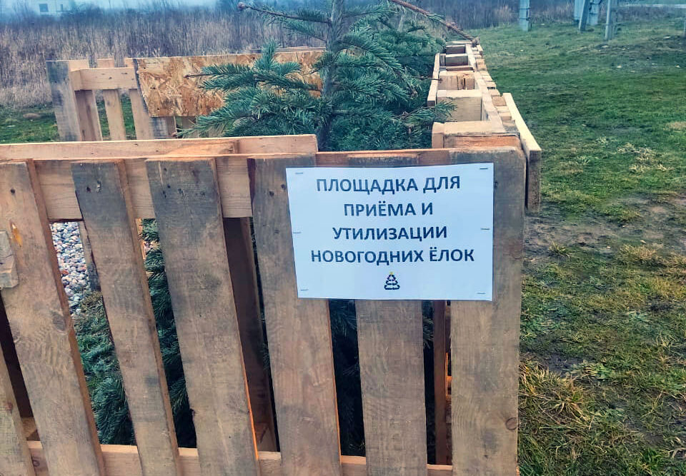 Принимаем новогодние ёлки!