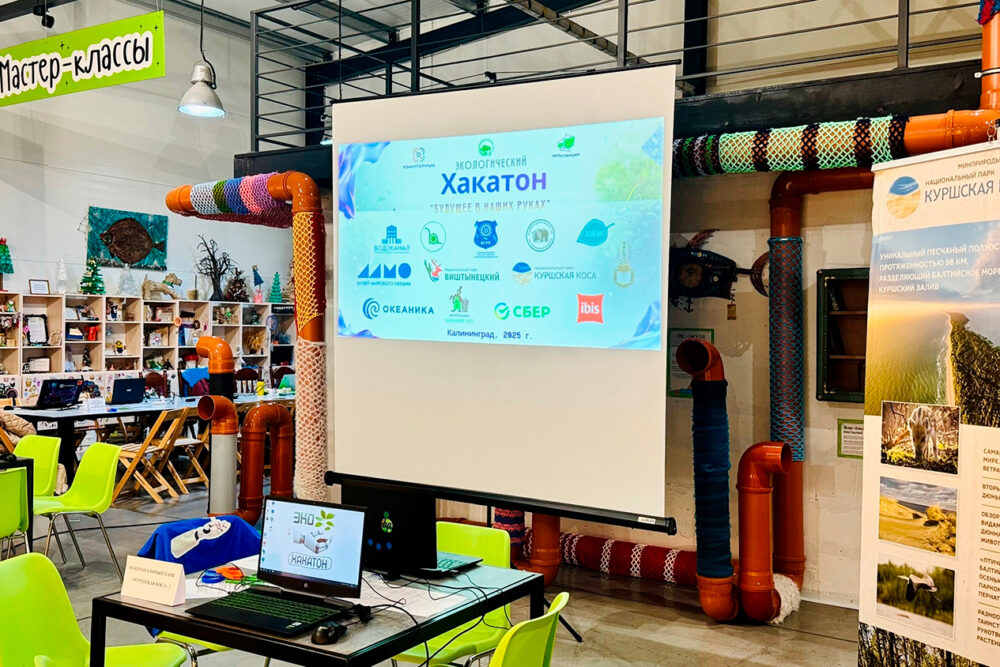 Экологический хакатон 2025
